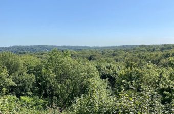 Randopolitain : Dans les forêts royales entre Poissy et Marly-le-Roi