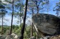 Balade depuis le coeur de la forêt de Fontainebleau jusqu&rsquo;au château