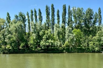 Randopolitain : Balade sur les rives de l’Oise chez Van Gogh