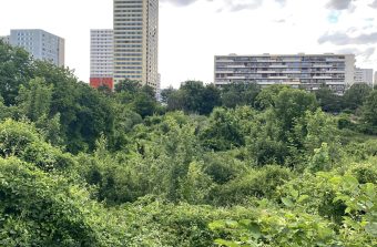 Balade sur le Grand Chemin, à la découverte des parcs et jardins du plateau de Romainville