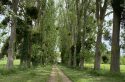 Randopolitain : Des collines du Val-d&rsquo;Oise à la forêt de Chantilly