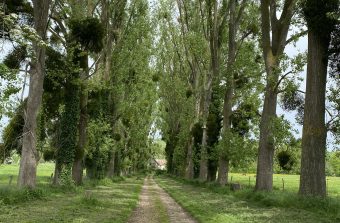 Randopolitain : Des collines du Val-d’Oise à la forêt de Chantilly