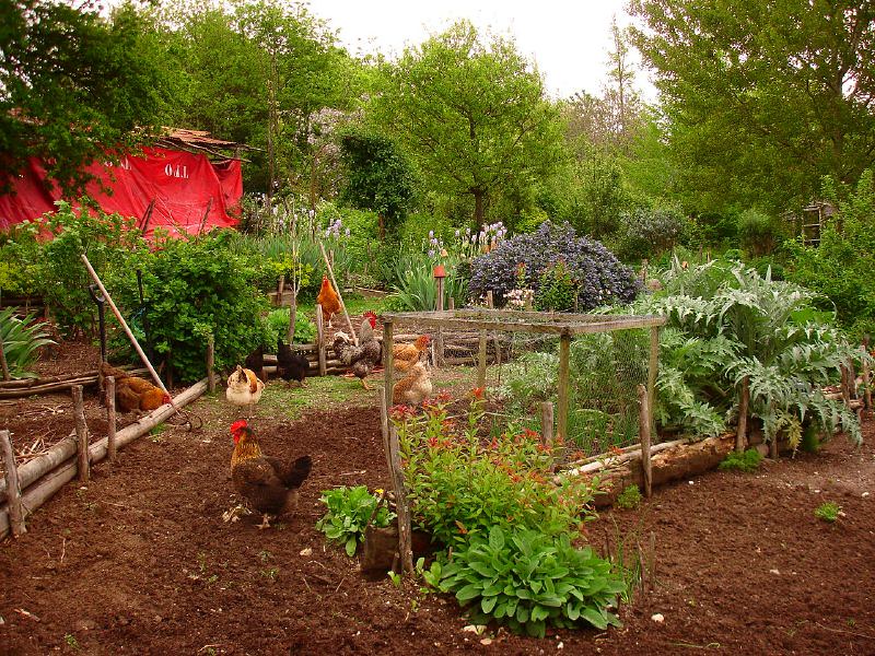 Installée à la Cité maraîchère de Romainville, Bénédicte Gory a eu l'idée de valoriser le travail des jardiniers amateurs en créant Le Jardin e(s)t la recette / © Hardworkinghippy (Creative commons / Flickr)