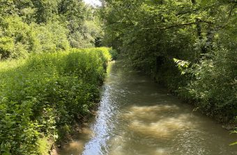 Balade le long de l’Orge vers Dourdan, la « petite Versailles » de l’Essonne