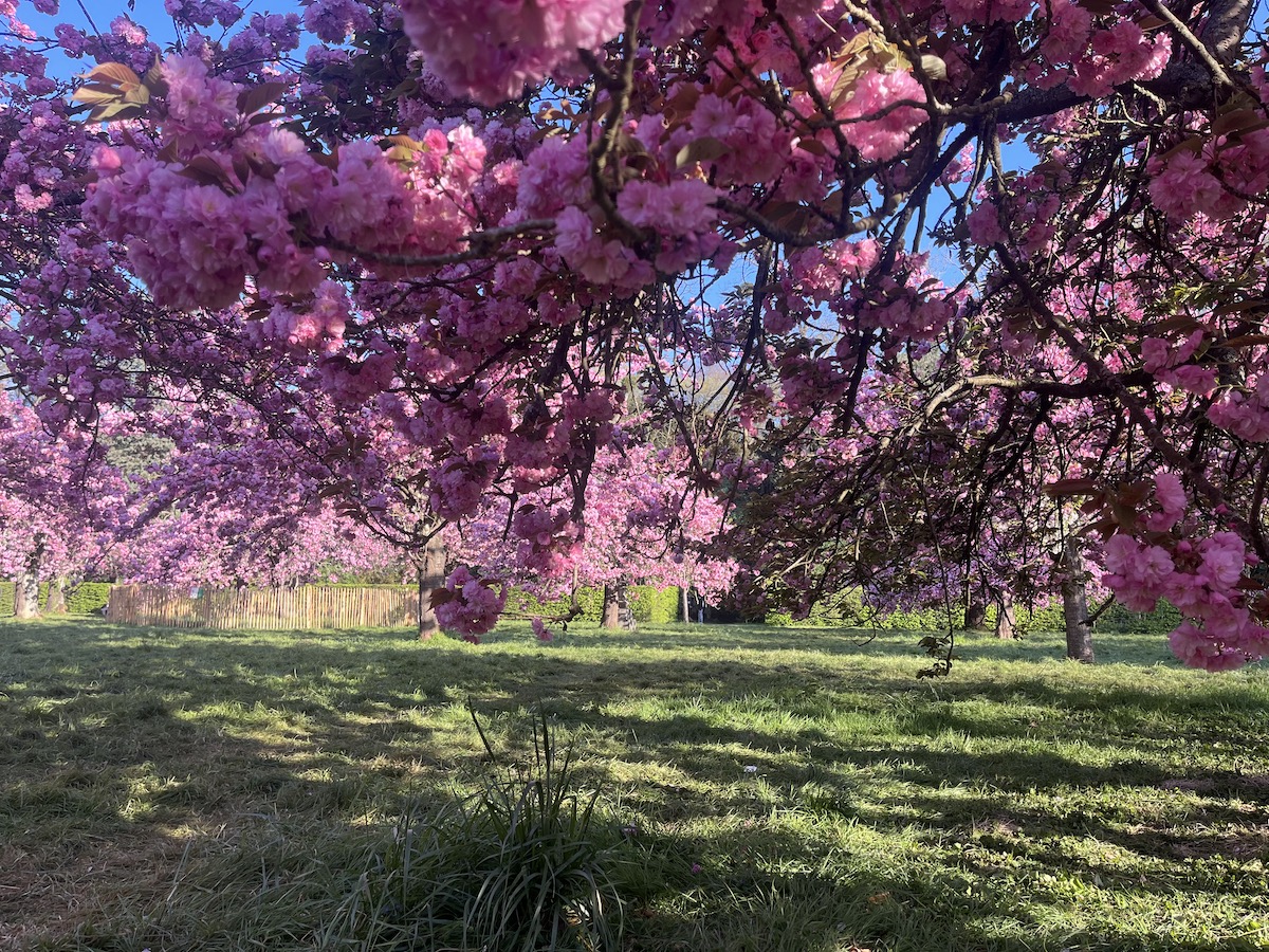 Parc de Sceaux / © Pauline de Quatrebarbes pour Enlarge your Paris