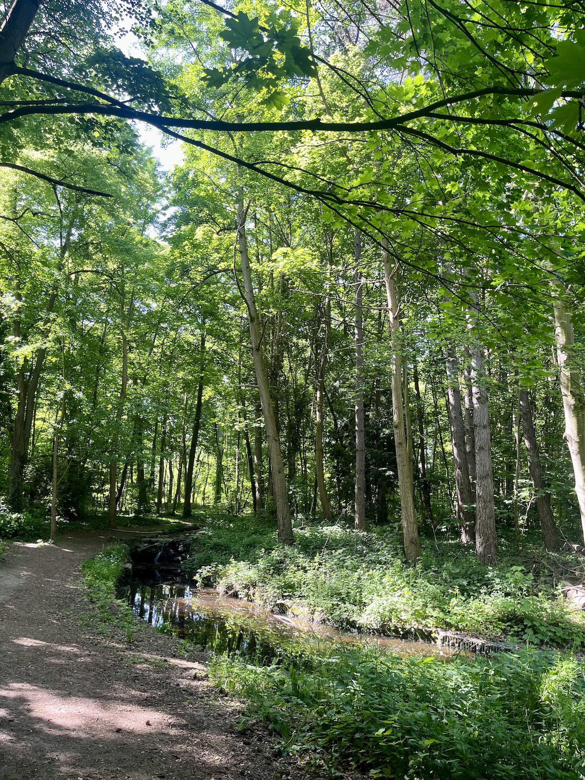 Le bois de Boulogne est aussi grand que le 15e arrondissement / Pauline de Quatrebarbes pour Enlarge your Paris