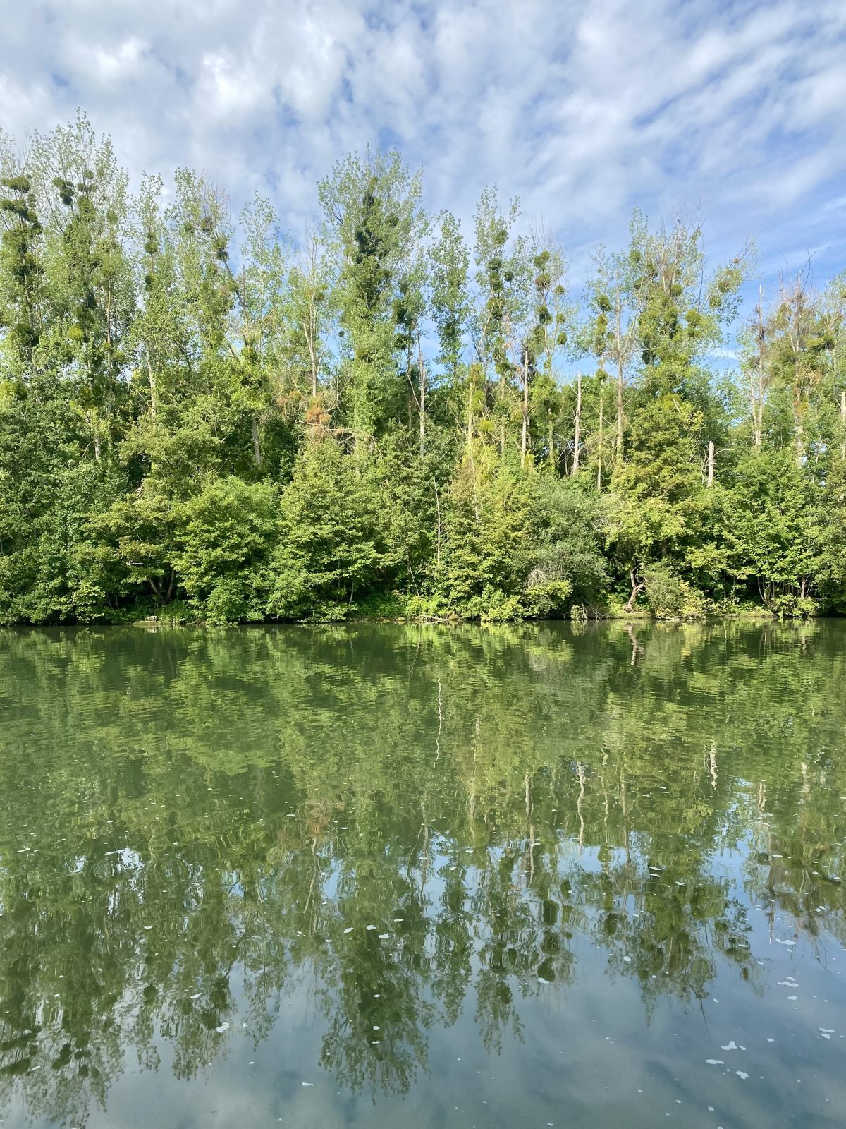 Les bords de l'Oise / © Adrien Laplanche pour Enlarge your Paris