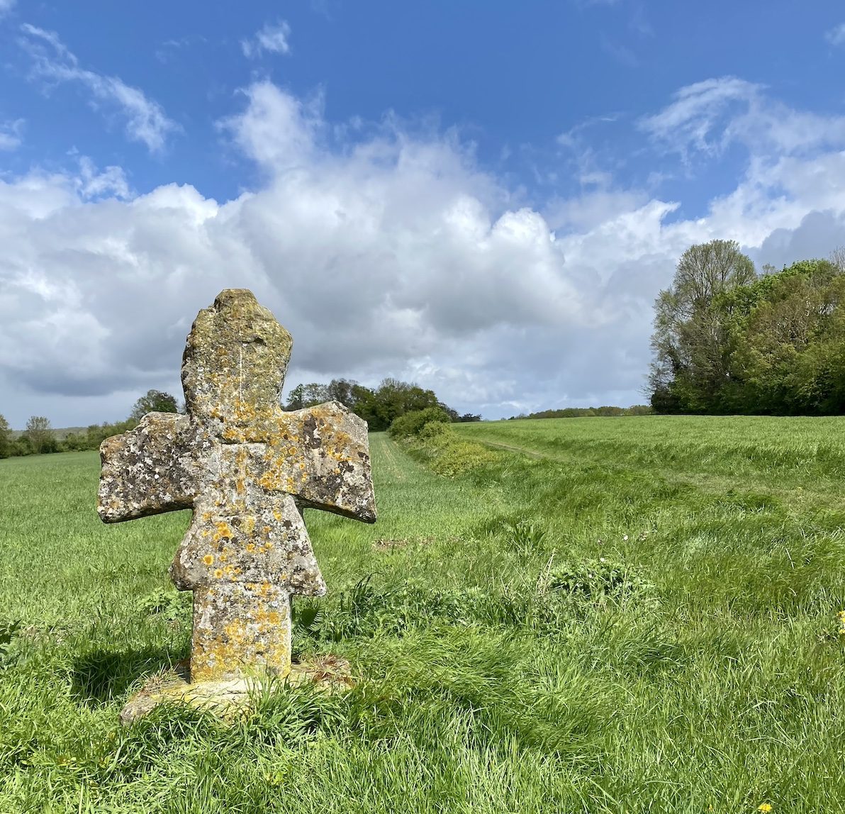 Les paysages du parc naturel du Vexin / © Vianney Delourme pour Enlarge your Paris