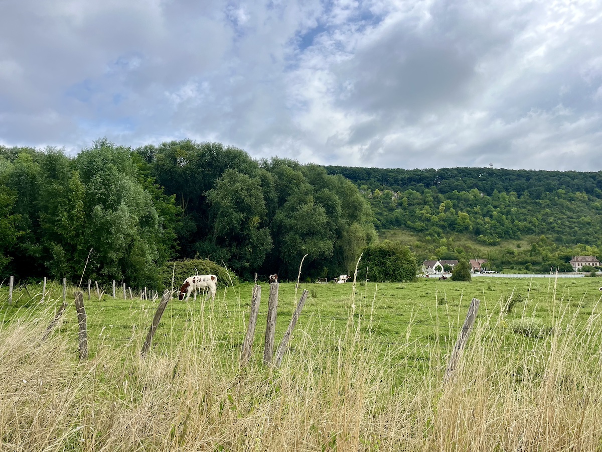 Les paysages entre Vernon et Giverny / © Pauline de Quatrebarbes pour Enlarge your Paris