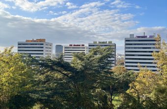 Le Grand Chemin commence à percer près des Murs à pêches de Montreuil