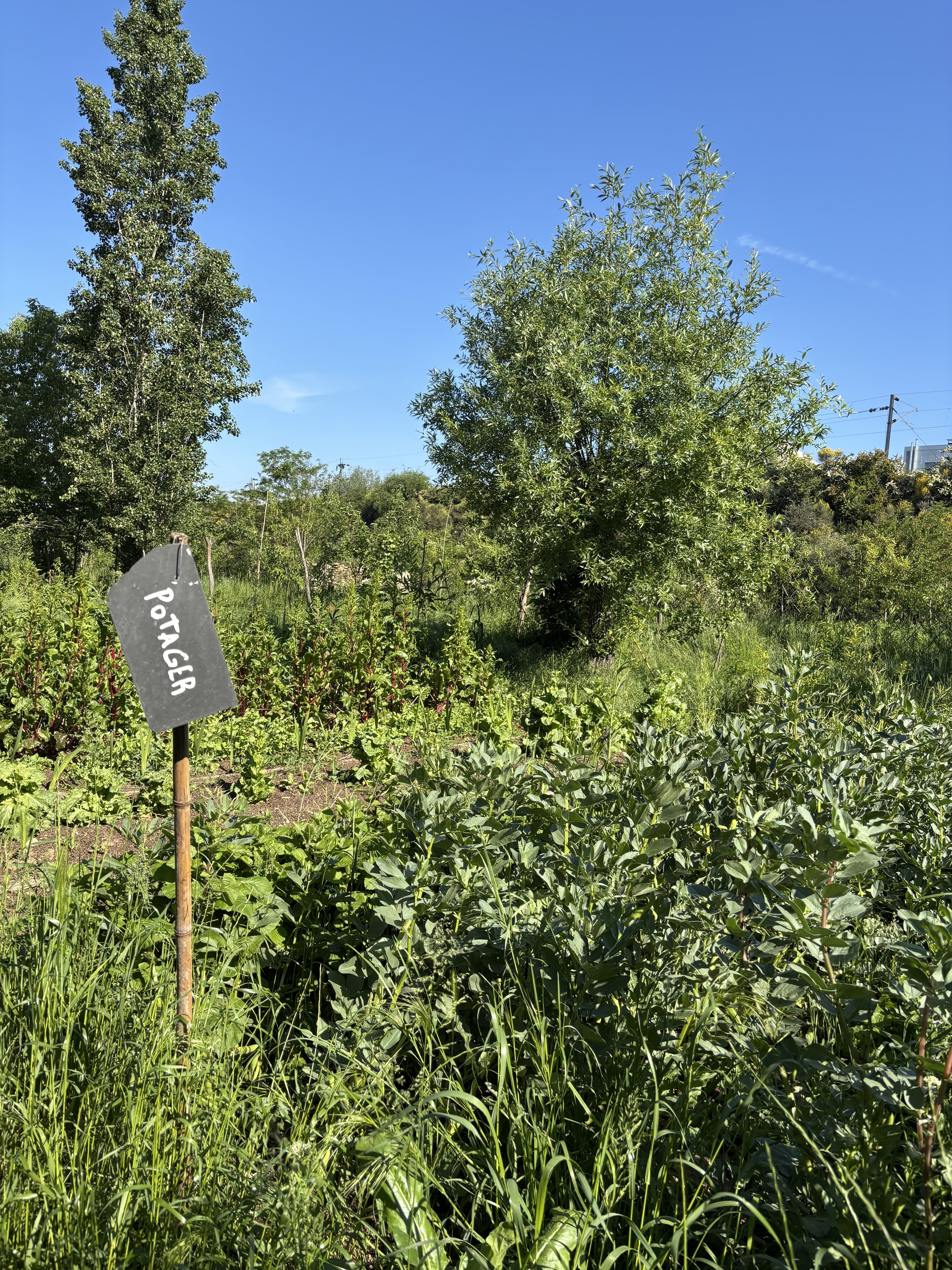 Le Pré de la Ferme du Bonheur au-dessus de l'A14 à Nanterre. Vianney Delourme pour Enlarge your Paris