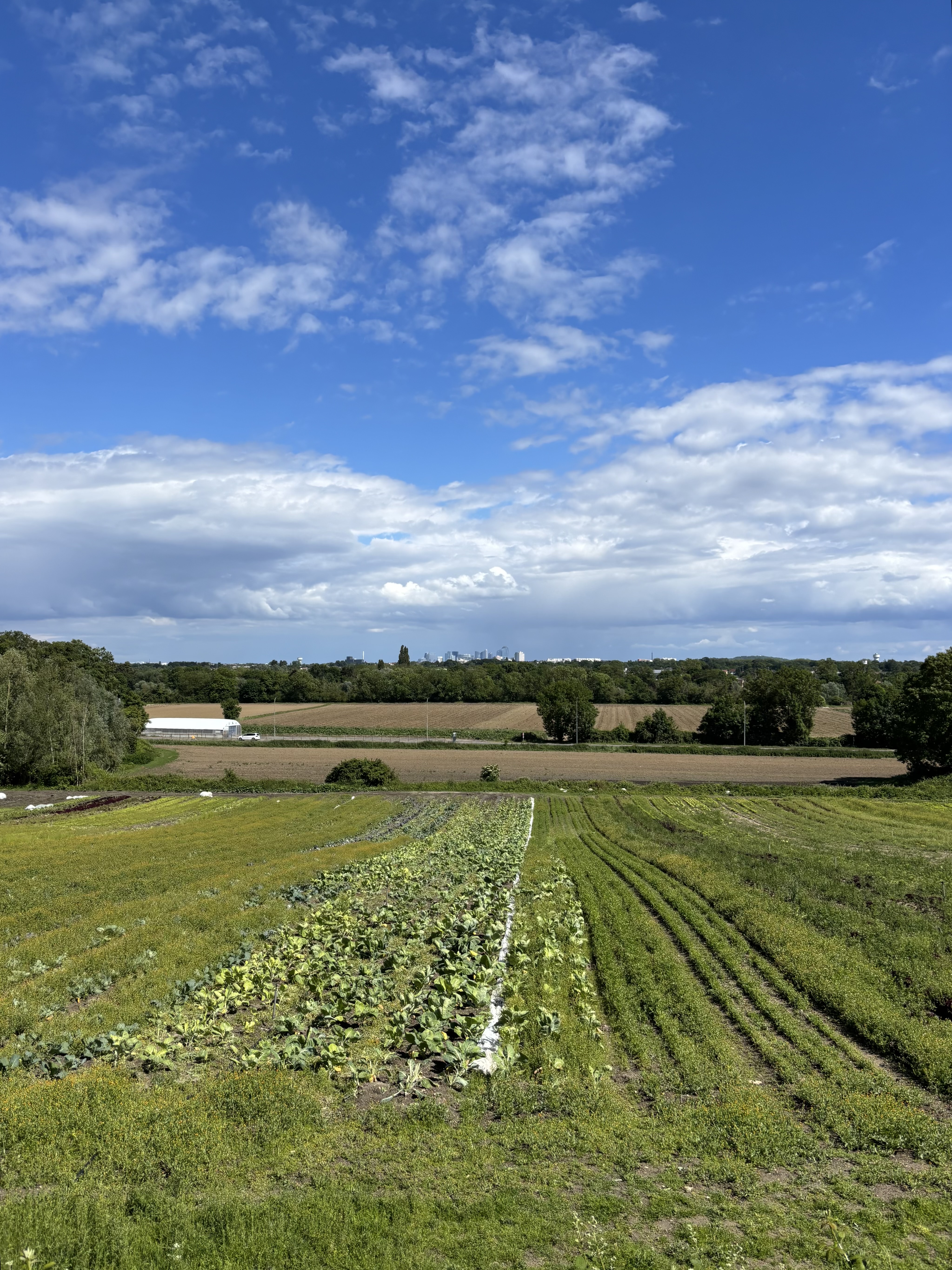 Des maraichages au Mesnil-le-Roi, avec vue sur Paris La Défense. Vianney Delourme pour Enlarge your Paris