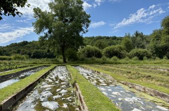 « Plein le C… de l’entreprise ». Ancien designer maroquinier, Vincent Privat a repris une cressonnière à l’abandon. Son paradis