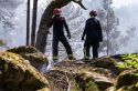 Les forêts d&rsquo;Île-de-France entrent dans l&rsquo;âge du feu