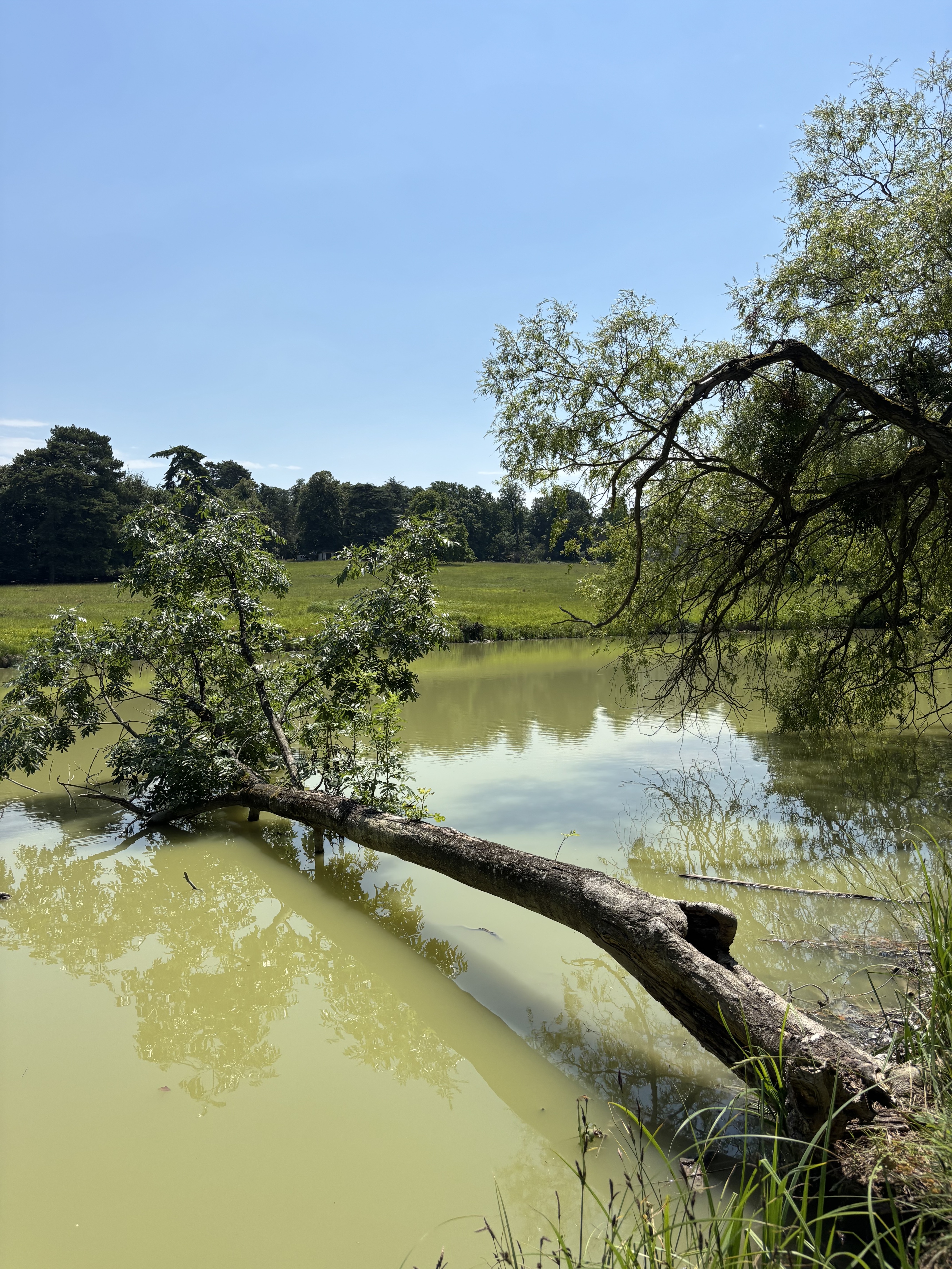 Le Domaine du Piple. Vianney Delourme pour Enlarge your Paris