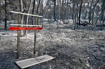 Le feu est éteint à Fontainebleau, la forêt reste sous le choc