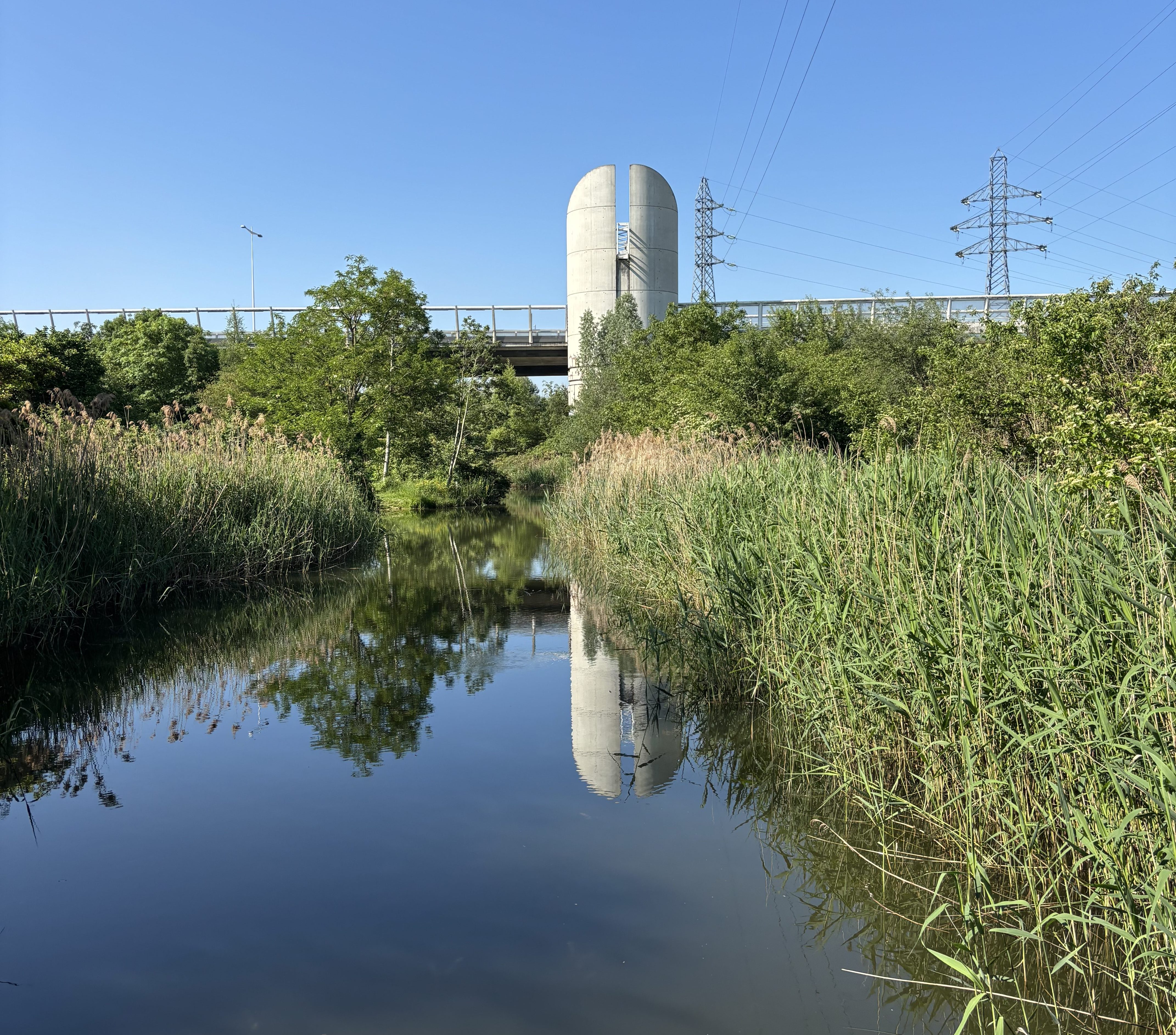À Nanterre, un jardin né sur des friches industrielles, verdit la Seine