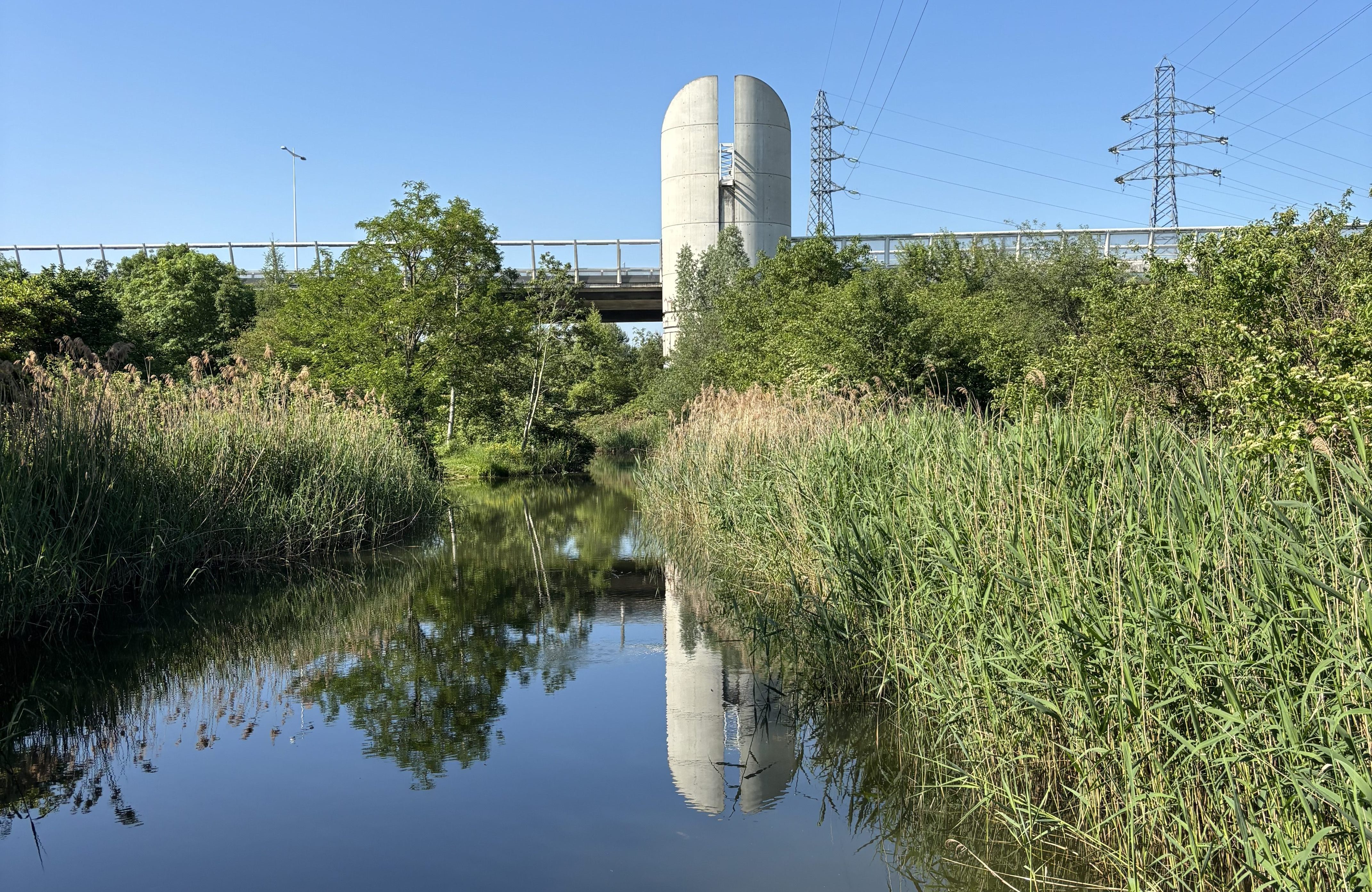 À Nanterre, un jardin né sur des friches industrielles, verdit la Seine