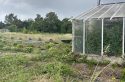 À Villejuif, une friche horticole renaît en ferme urbaine, à deux pas de la plus belle gare du monde