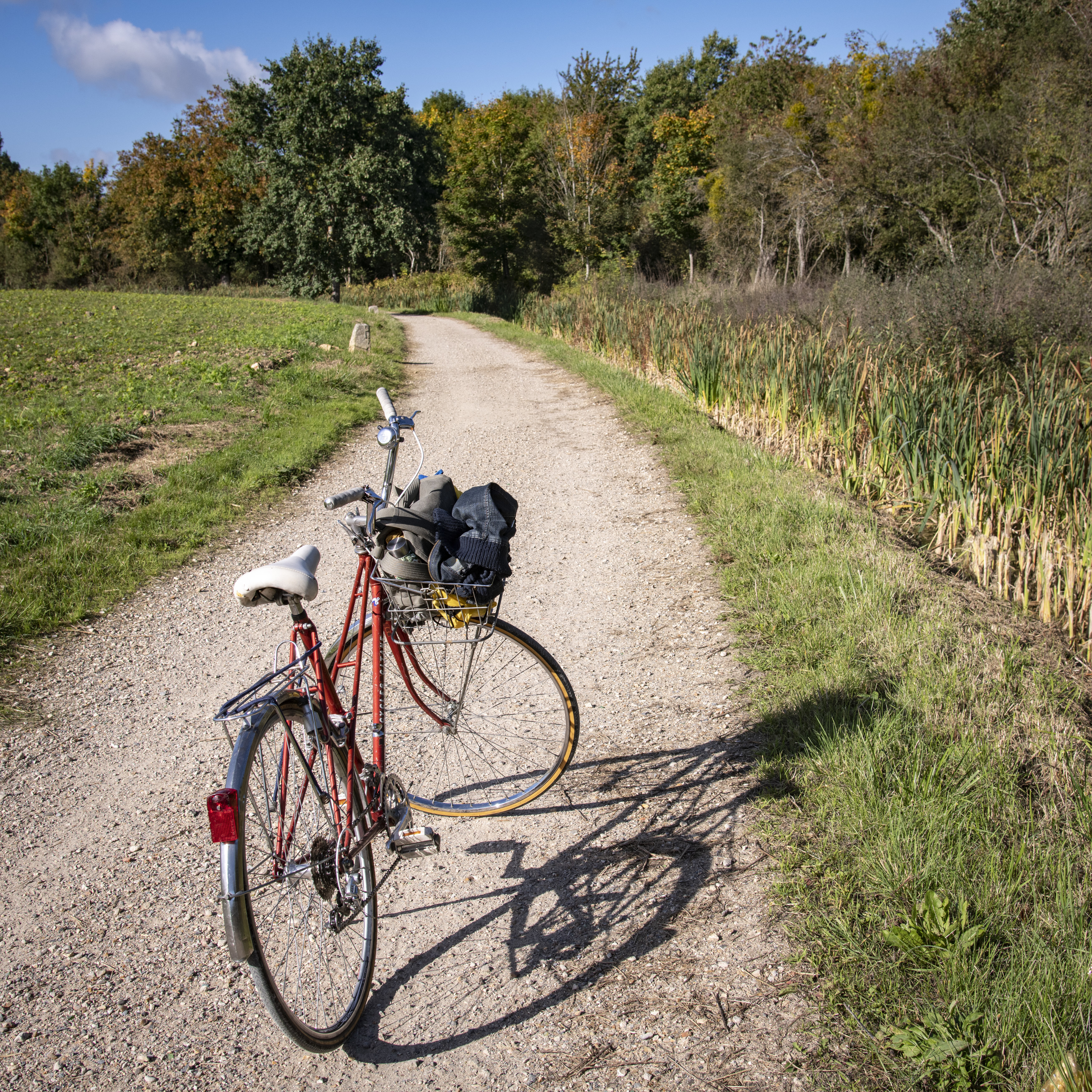 Le plateau de Saclay à vélo. Jéromine Derigny pour Enlarge your Paris