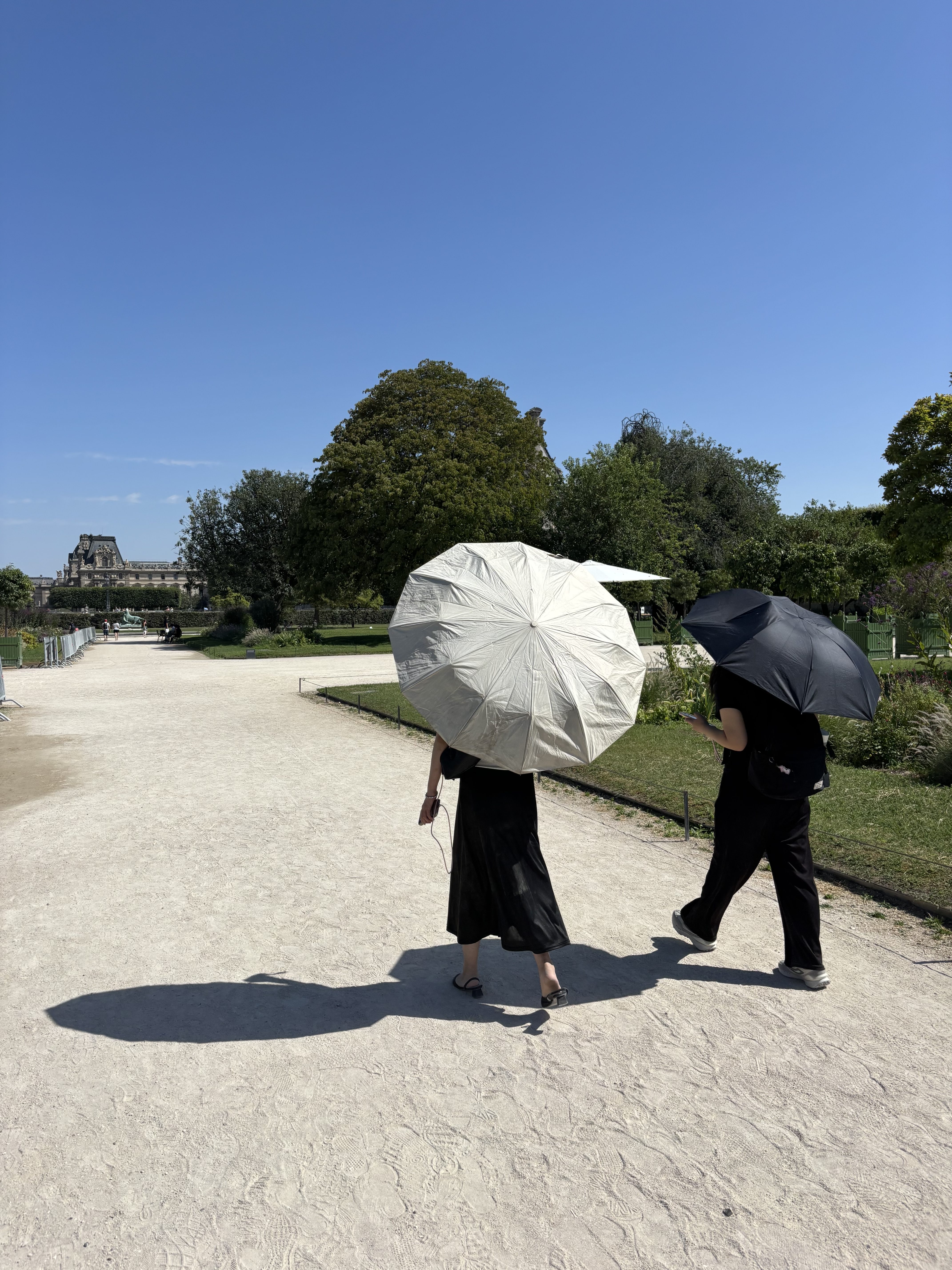 Le Jardin des Tuileries. Vianney Delourme pour Enlarge your Paris
