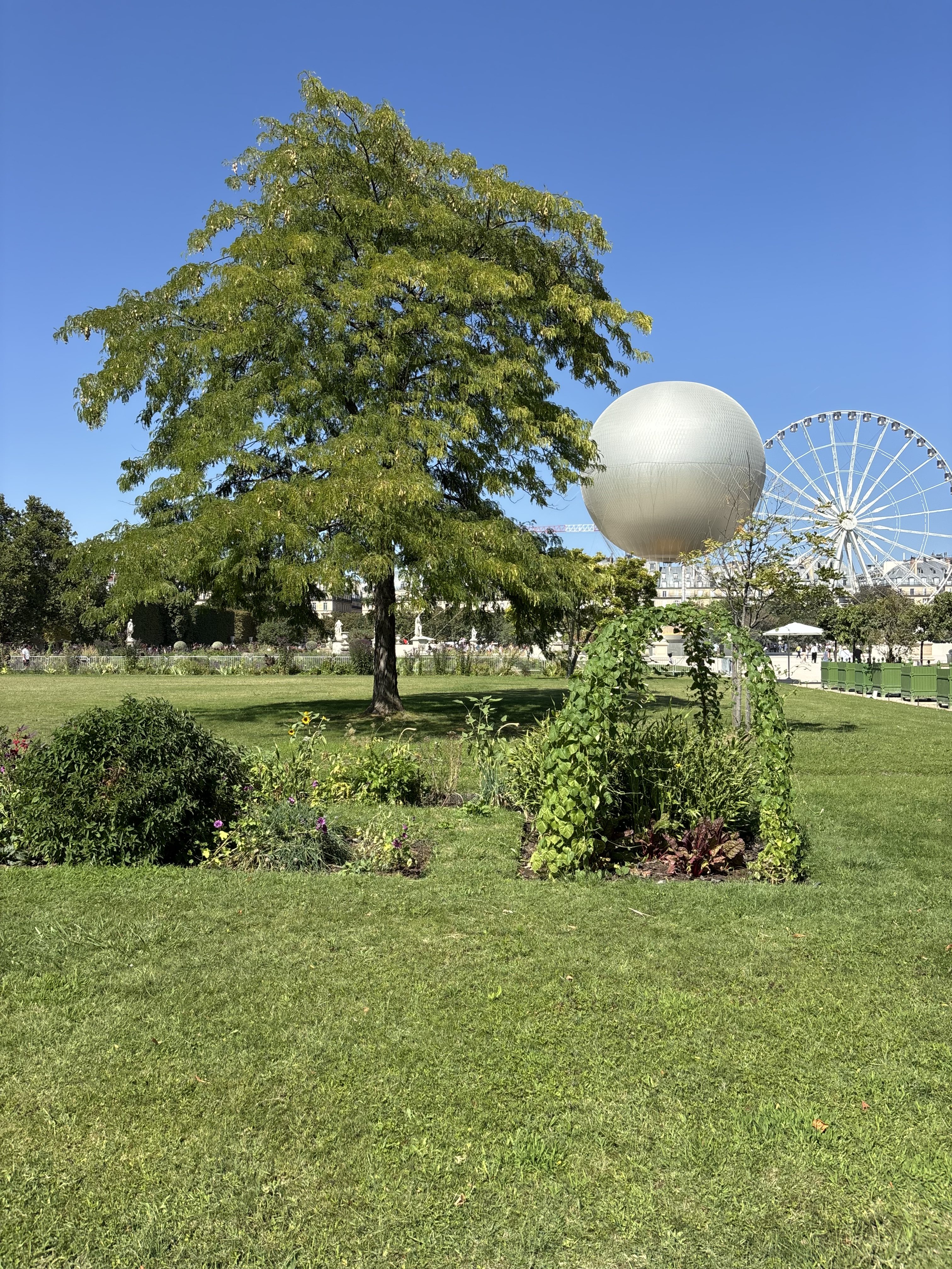 Le Jardin des Tuileries. Vianney Delourme pour Enlarge your Paris