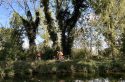 Sous les avions de Roissy, balade dans un marais inattendu