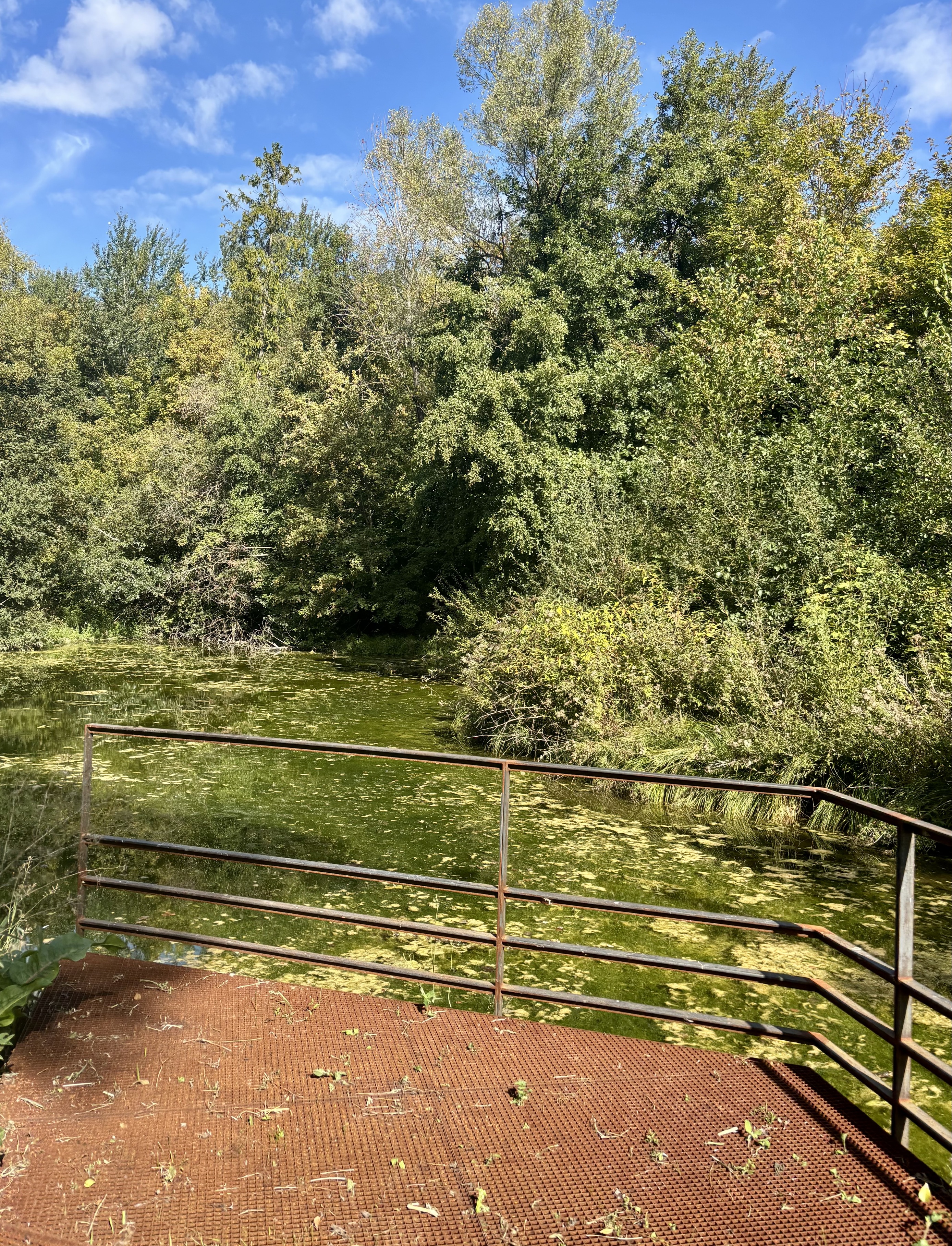 Le Moulin des marais. Vianney Delourme pour Enlarge your Paris