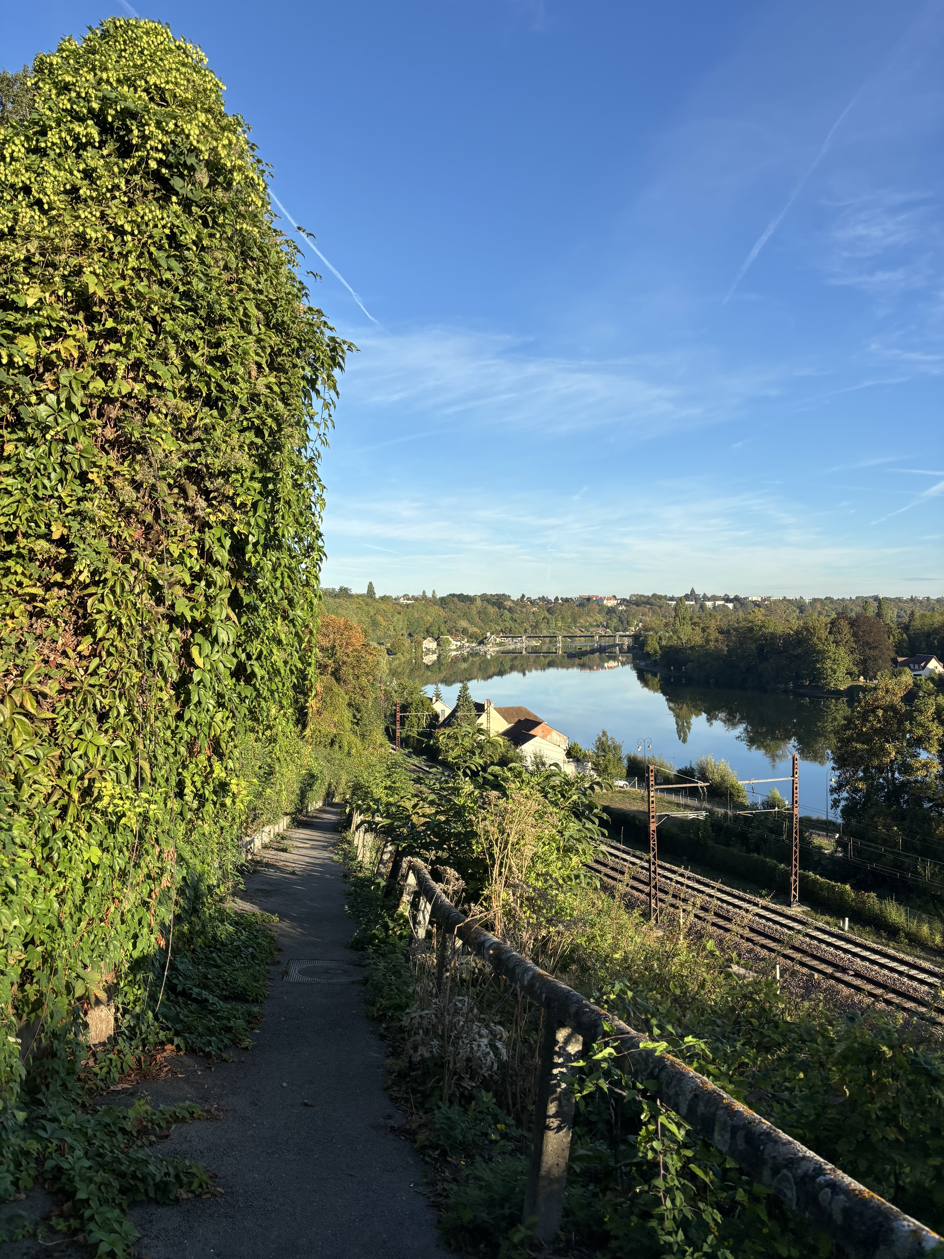 Les berges de la Seine en face de la forêt régionale de Rougeau. Vianney Delourme pour Enlarge your Paris