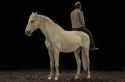 À la Maison des Arts de Créteil, les adieux à la scène du cheval Akira