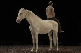 À la Maison des Arts de Créteil, les adieux à la scène du cheval Akira