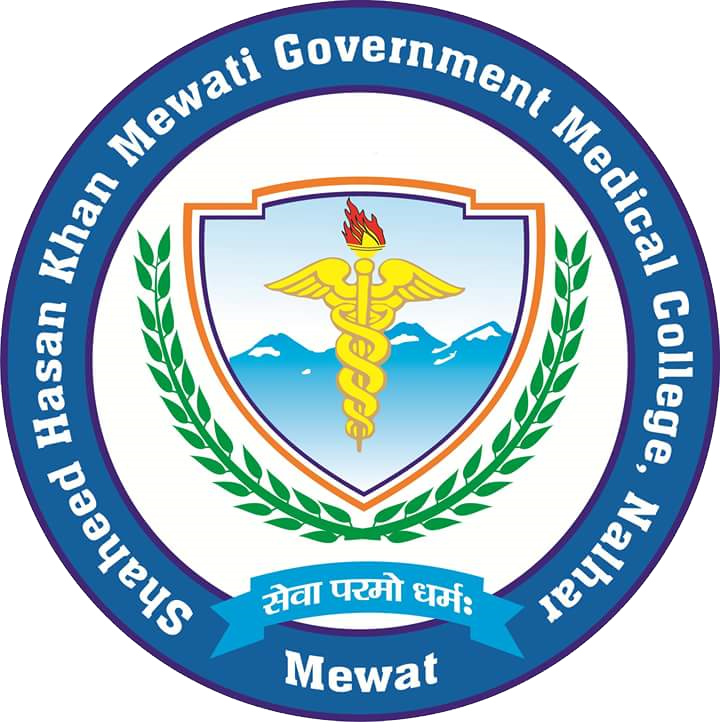 Shaheed Hasan Khan Mewati Government Medical College Nalhar Mewat logo
