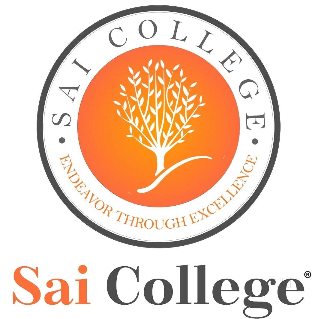 Sai College Bhilai logo