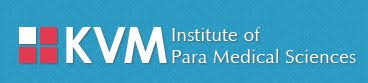 KVM IPS Logo