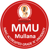 MM College of Pharmacy Ambala Logo