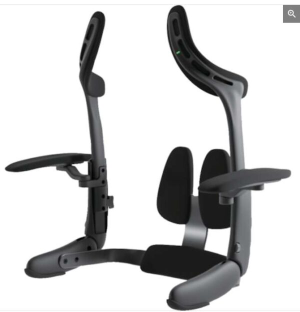 ASTRIDE BIONIX Enyware, For always ergonomic posture when sitting (Recommended for people who work long hours with back pain - Full body support, Adjustable Size) | EZ Auction