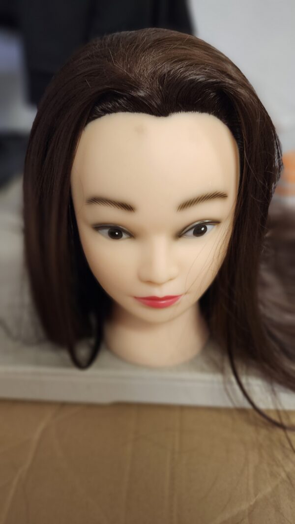 ***PICTURE FOR REFERENCE***Female 100% Human Hair Mannequin Head Hair Styling Training Head Cosmetology Manikin Head Doll Head for Hairdresser | EZ Auction