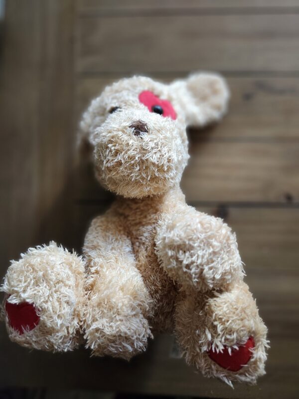 10" Valentine's Day Valentines Gift for Children Kids, Girlfriend, Boyfriend, Plush Stuffed Animal (Puppy) | EZ Auction