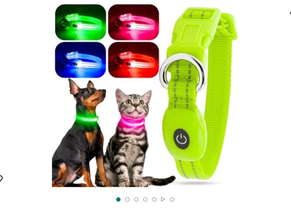 YFbrite Light up Dog Collars, USB Rechargeable LED Dog Collar, Adjustable LED Cat Collar, Durable Flashing Collar for Cats, Puppy, Small, Medium, Large Dogs (Green, XS) | EZ Auction