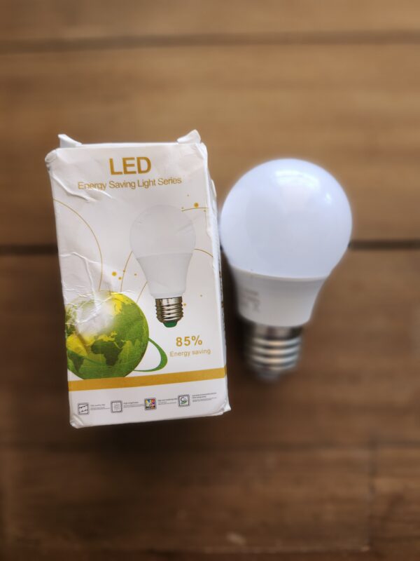 LED Light Bulb 1 Count | EZ Auction