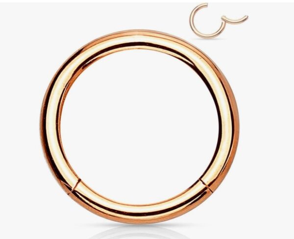Forbidden Body Jewelry 316L Surgical Steel Hinged Seamless Nose Rings Hoop 14G 16G 18G, Diameter 6mm 8mm 10mm 12mm, Gold/Rose Gold/Silver/Black/Rainbow Colors. | EZ Auction
