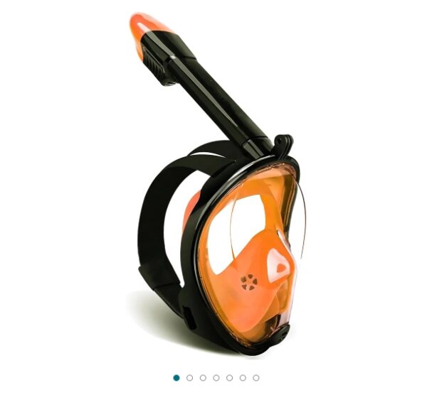 Full Face Snorkel Mask, Snorkeling Mask with Detachable Camera Mount, 180 Panoramic Anti-Fog Anti-Leak Diving Mask for Adult and Kids… | EZ Auction