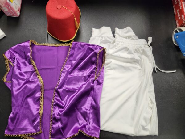 ***MISSINGRED RIBBON AND MUSTACHE AND GOTEE***Zhanmai 5 Pcs Mardi Gras Men's Arabian Prince Costume Set Purple Vest Harem Pants Red Fez Felt Hat Sash Beard for Fancy Party | EZ Auction