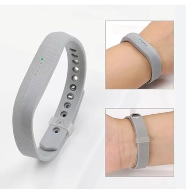 Fitbit Flex 2, Grey (US Version), 1 Count | EZ Auction