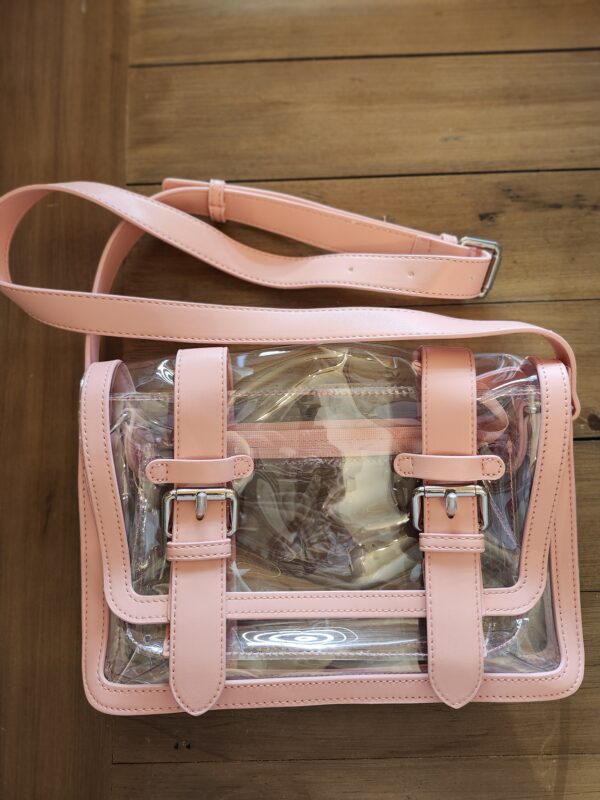 Jane Messenger Bag Clear Blush | EZ Auction