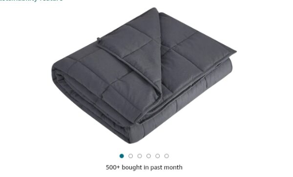 L'AGRATY Weighted Blanket Kids - 40"x60" 10lbs Breathable Kids Childrens Weighted Heavy Blanket Microfiber Material with Glass Beads Small Blanket for Kids All-Season Summer Fall Winter Soft Blanket | EZ Auction