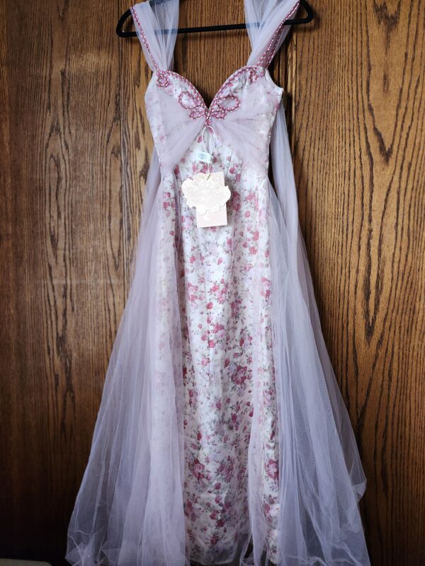 ***Size X-Small***Floral Disc Fairy Corset Dress | EZ Auction
