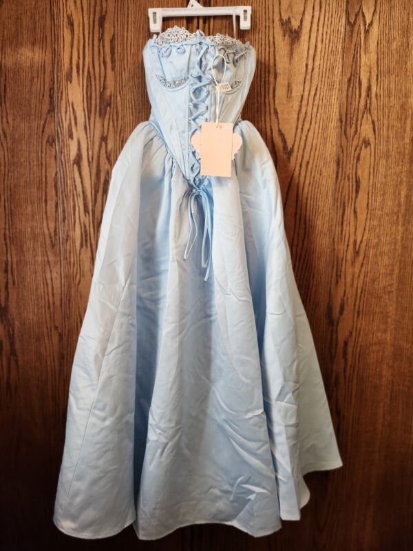 ***Size XSmall***Cinderella Dress Ⅱ | EZ Auction