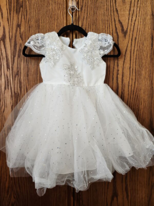 ***Looks Like A Size 3-4T***NNJXD Baby Girl Princess Dress Bowknot Sequins Dresses | EZ Auction