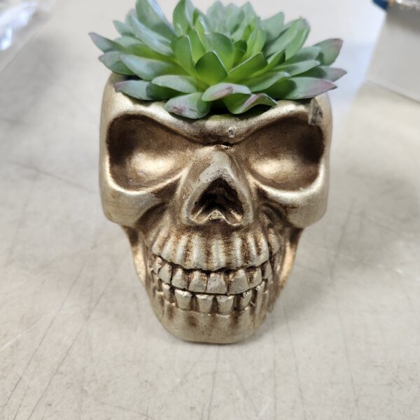 Flora Bunda Faux Succulent in 5X4 Cement Skull, GOLDEN | EZ Auction